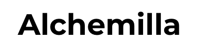 Alchemilla